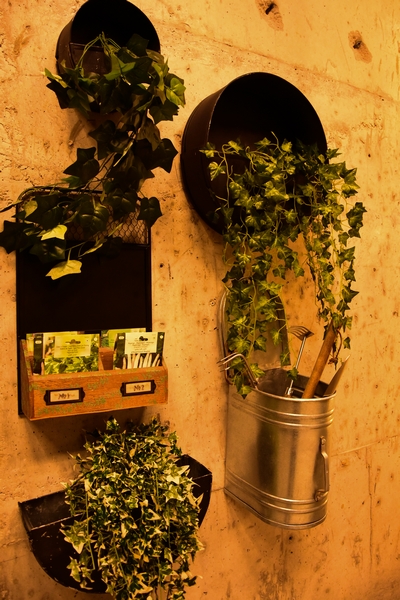 Kitchen Yard on Wednesday Night